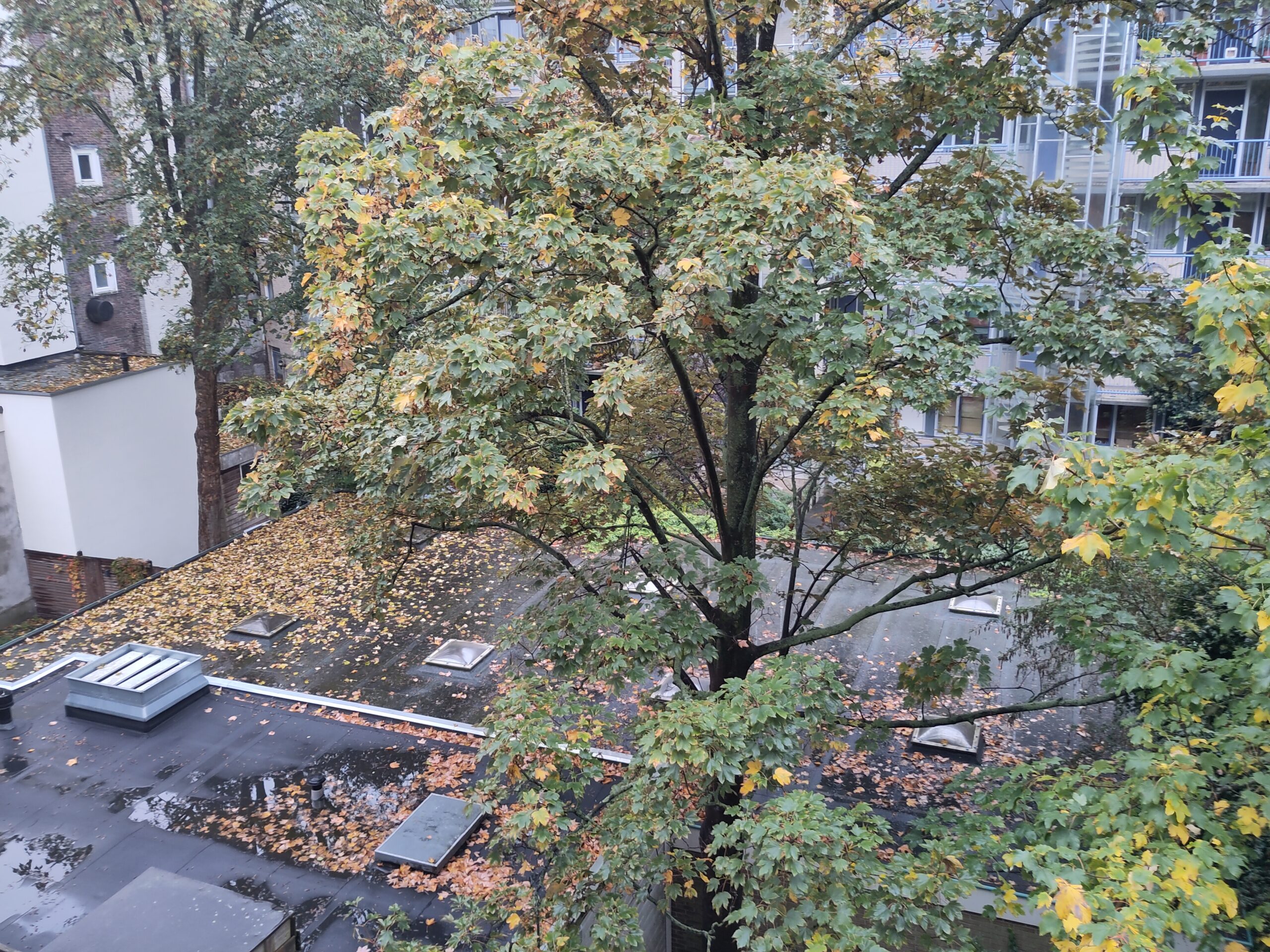 weblog van Piet van der Lende