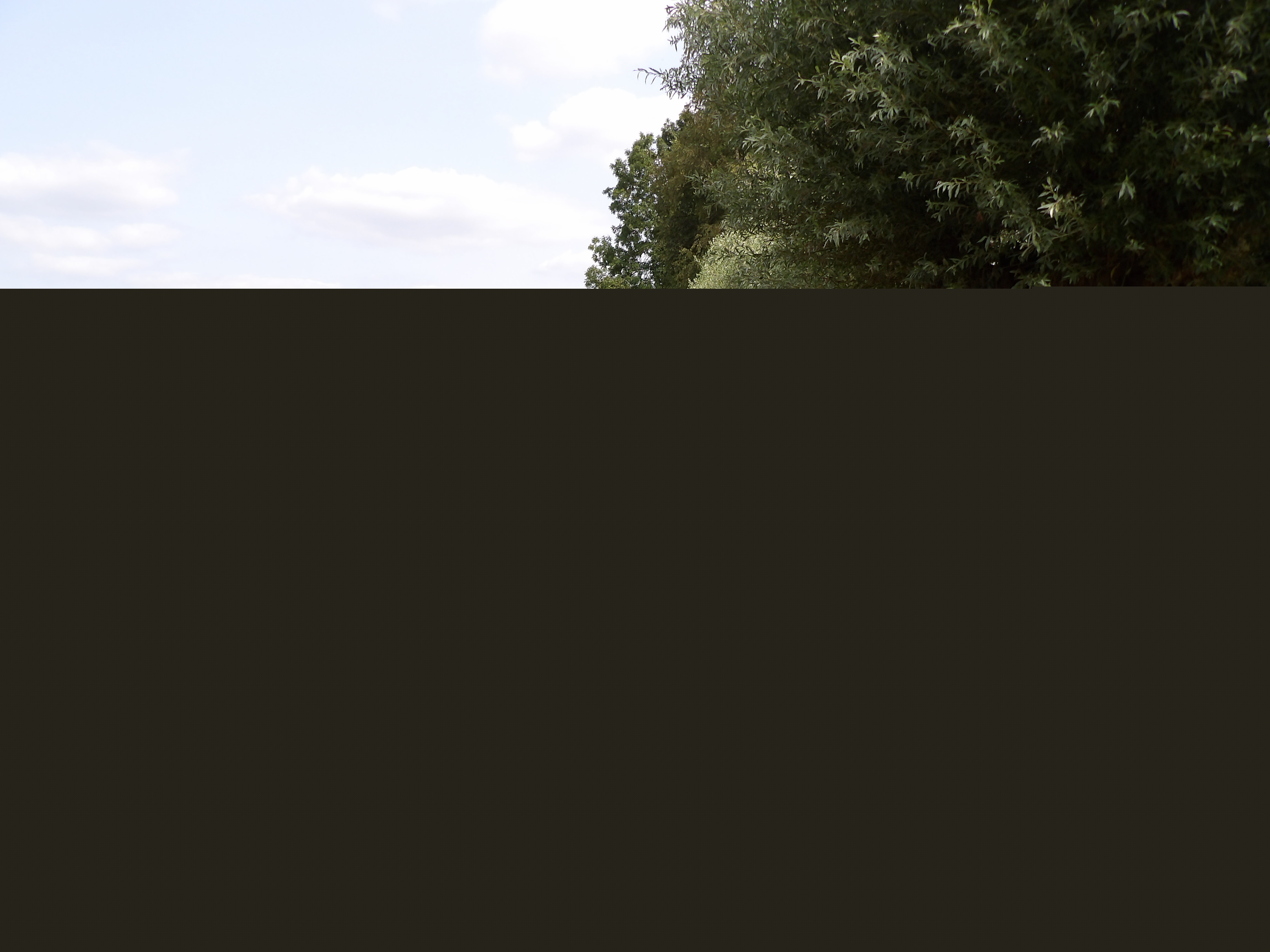 vv